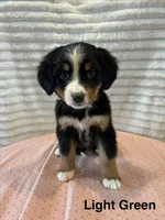 processed/2112a748-ba72-404d-86d9-2a7108c3e527/facility/ee4880fa-5318-4449-962a-dafa47223580