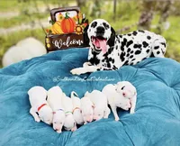 processed/211b9a7b-e812-4623-9dca-17ec6f5e2000/facility/371daa53-f969-48ee-8995-c20f725a5a69