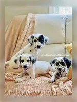 processed/211b9a7b-e812-4623-9dca-17ec6f5e2000/facility/e710c039-c74a-4fa2-b513-a286712f4e84