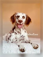 processed/211b9a7b-e812-4623-9dca-17ec6f5e2000/facility/eca83089-c011-468a-bf14-904854c5328a