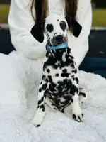 processed/211b9a7b-e812-4623-9dca-17ec6f5e2000/listing/1497d660-2795-44f6-bcdd-bb9d6441ea5e/3d863095-efe1-4bb4-9c06-0a17b28695dc