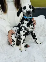 processed/211b9a7b-e812-4623-9dca-17ec6f5e2000/listing/1497d660-2795-44f6-bcdd-bb9d6441ea5e/a46222f7-a945-45a3-91d9-065667468bef