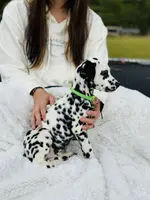 processed/211b9a7b-e812-4623-9dca-17ec6f5e2000/listing/1a08e80b-d44a-4dd2-8f67-3c68a12965b1/ae1400cc-7c77-4686-af3e-409b22ce33af