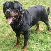 processed/21362793-ff88-4ed9-8cca-0ca0f97d15b4/facility/1010a9c7-a7d2-4899-9870-b284d7b5f295