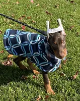 processed/21362793-ff88-4ed9-8cca-0ca0f97d15b4/facility/64ed6d69-ed37-48f9-89ea-a8f0bbefeb84