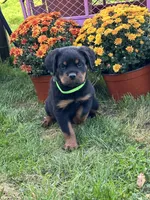 processed/21362793-ff88-4ed9-8cca-0ca0f97d15b4/facility/7e4b76f6-2a2e-42e9-ac3c-f3fefd19c076