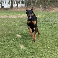 processed/21362793-ff88-4ed9-8cca-0ca0f97d15b4/facility/c5606507-674e-43c6-9fee-5b45fe2a9e4c