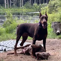 processed/21362793-ff88-4ed9-8cca-0ca0f97d15b4/facility/cf022ded-c8c2-4791-af62-9be464bcf4a6