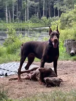 processed/21362793-ff88-4ed9-8cca-0ca0f97d15b4/facility/cf022ded-c8c2-4791-af62-9be464bcf4a6