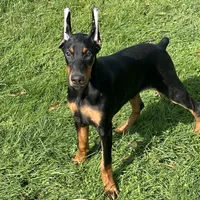 processed/21362793-ff88-4ed9-8cca-0ca0f97d15b4/facility/cf65cccf-54f9-4700-9b29-7d9482dde323