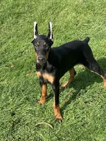 processed/21362793-ff88-4ed9-8cca-0ca0f97d15b4/facility/cf65cccf-54f9-4700-9b29-7d9482dde323