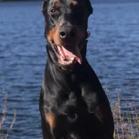 processed/21362793-ff88-4ed9-8cca-0ca0f97d15b4/facility/e0002701-fb84-45d4-ba61-c4899ba8534b