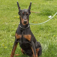 processed/21362793-ff88-4ed9-8cca-0ca0f97d15b4/facility/e7077f7d-96f0-49ba-9acc-63228dc59163