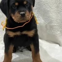 processed/21362793-ff88-4ed9-8cca-0ca0f97d15b4/facility/f08dee7c-3478-41e1-b133-1671390db7ed