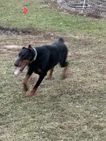 processed/21362793-ff88-4ed9-8cca-0ca0f97d15b4/listing/41c729f9-3b7a-4f15-b9af-f1ff63d3ed43/34f8a478-f171-4f41-b93e-6f9c5dc24002