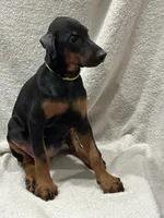 processed/21362793-ff88-4ed9-8cca-0ca0f97d15b4/listing/41c729f9-3b7a-4f15-b9af-f1ff63d3ed43/73a1bb5f-1ed9-4240-88f1-95dce5454bd0