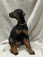 processed/21362793-ff88-4ed9-8cca-0ca0f97d15b4/listing/41c729f9-3b7a-4f15-b9af-f1ff63d3ed43/bb4eeeeb-4080-44a1-b166-c251fdd4d6b4