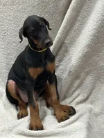 processed/21362793-ff88-4ed9-8cca-0ca0f97d15b4/listing/41c729f9-3b7a-4f15-b9af-f1ff63d3ed43/df32d2af-28b5-47a9-a988-f00f346b1029