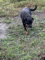 processed/21362793-ff88-4ed9-8cca-0ca0f97d15b4/listing/59418038-872e-4d13-9a51-8d6946869762/24e27c01-0886-400c-b33e-205da298455e