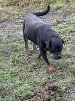 processed/21362793-ff88-4ed9-8cca-0ca0f97d15b4/listing/59418038-872e-4d13-9a51-8d6946869762/e44a4d6d-57b0-4419-8ba7-13ba7ab8cb94