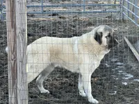 processed/21362793-ff88-4ed9-8cca-0ca0f97d15b4/listing/869d7e27-0c60-4c49-b169-f069db020f5e/245f39a1-3f4e-4f9d-a248-a09c24a94810