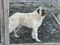 processed/21362793-ff88-4ed9-8cca-0ca0f97d15b4/listing/869d7e27-0c60-4c49-b169-f069db020f5e/54e900d0-8172-41ae-bf10-0e0736c532a8