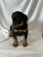 processed/21362793-ff88-4ed9-8cca-0ca0f97d15b4/listing/88e479ca-50c7-4f69-b744-af9ff41da1e4/4d6ea718-f47b-42b0-876a-ec70beea27bf