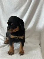 processed/21362793-ff88-4ed9-8cca-0ca0f97d15b4/listing/88e479ca-50c7-4f69-b744-af9ff41da1e4/76e45a40-f3a8-4817-8437-fcf152b3c0fd