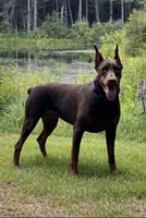 processed/21362793-ff88-4ed9-8cca-0ca0f97d15b4/listing/b898d3fa-bc8d-4990-b00e-c647813f2a33/0cc90e82-0935-4574-bce4-f448774ca407