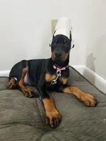 processed/21362793-ff88-4ed9-8cca-0ca0f97d15b4/listing/b898d3fa-bc8d-4990-b00e-c647813f2a33/3839ca6f-ddba-4a1a-a060-76f9668c50b5