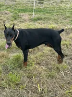 processed/21362793-ff88-4ed9-8cca-0ca0f97d15b4/listing/b898d3fa-bc8d-4990-b00e-c647813f2a33/3af352ca-3ae5-4277-9f91-3306dee01d85