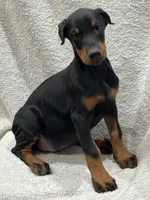 processed/21362793-ff88-4ed9-8cca-0ca0f97d15b4/listing/b898d3fa-bc8d-4990-b00e-c647813f2a33/72d45af1-d428-4b4c-816b-9aef18168436