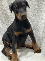 processed/21362793-ff88-4ed9-8cca-0ca0f97d15b4/listing/b898d3fa-bc8d-4990-b00e-c647813f2a33/a793386a-31fb-4e2f-ac7c-7d4eb6830aaa