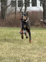 processed/21362793-ff88-4ed9-8cca-0ca0f97d15b4/listing/b898d3fa-bc8d-4990-b00e-c647813f2a33/b18186a7-2362-46d8-a995-ba87d2bac90e