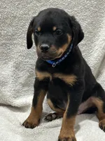 processed/21362793-ff88-4ed9-8cca-0ca0f97d15b4/listing/d87d8c57-7e33-4f82-9242-4f9cbcb2ed4a/cd903462-9afa-4b70-98d9-75d5f571fbd6