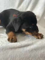 processed/21362793-ff88-4ed9-8cca-0ca0f97d15b4/listing/f77b3147-823e-4908-8a0e-6c5cf031057b/ef933129-2768-445c-bea7-493d36703a72