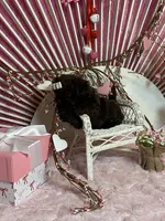 BUCEE, a male Shih Tzu for sale in Abilene, TX – Photo 5 of 7