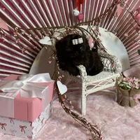 BUCEE, a male Shih Tzu for sale in Abilene, TX – Photo 7 of 7