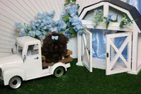 PARSLEY, a male Shih Tzu for sale in Abilene, TX – Photo 7 of 10