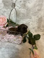 processed/213cf409-035f-4fe3-82d0-78beb9c77fb4/listing/9305ec79-ad9d-4900-9ce1-2be29800c6e1/88b5ffdf-f295-4147-95a1-a775c8b4a459