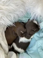 processed/213cf409-035f-4fe3-82d0-78beb9c77fb4/listing/9305ec79-ad9d-4900-9ce1-2be29800c6e1/8d294fe4-4e75-43c2-8df8-dcce1ea82c81