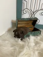 processed/213cf409-035f-4fe3-82d0-78beb9c77fb4/listing/9305ec79-ad9d-4900-9ce1-2be29800c6e1/8db9bce2-bc9a-4eec-bf38-774c777afc1f