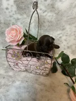 processed/213cf409-035f-4fe3-82d0-78beb9c77fb4/listing/9305ec79-ad9d-4900-9ce1-2be29800c6e1/f62fd097-5843-4481-8231-7cb15bbae7a9