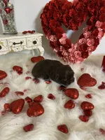 processed/213cf409-035f-4fe3-82d0-78beb9c77fb4/listing/a5402a9b-d74f-4ed3-af38-515ab5d87902/a59a33c6-e17f-4d93-9e84-9a6a9dd8bd3c