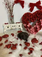 processed/213cf409-035f-4fe3-82d0-78beb9c77fb4/listing/a5402a9b-d74f-4ed3-af38-515ab5d87902/bdbda48b-98e3-451b-b414-44d42ea005b5