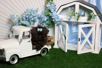 Tiny parsley , a male Shih Tzu for sale in Abilene, TX – Photo 3 of 5