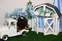 Tiny parsley , a male Shih Tzu for sale in Abilene, TX – Photo 2 of 5