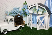 Tiny parsley , a male Shih Tzu for sale in Abilene, TX – Photo 1 of 5