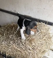 processed/213de70e-bcdb-4b3a-bb24-e49a8e5dc1fc/listing/e713688d-efac-4a25-a4b4-34d0446ccbfb/233eaf06-4e86-4b80-9756-abc075159540