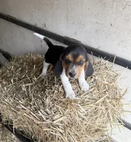 processed/213de70e-bcdb-4b3a-bb24-e49a8e5dc1fc/listing/e713688d-efac-4a25-a4b4-34d0446ccbfb/d9c0c8d4-5bb7-43c9-9474-550ec9b857a3